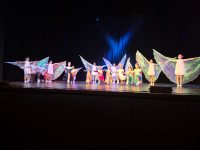 Auftritt bei Gifhorner Ehrenamtsgala
